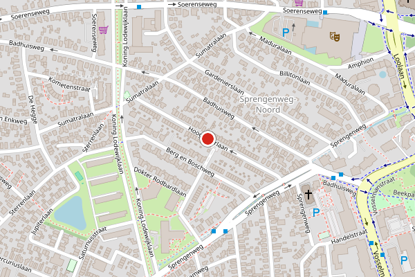 Brandweer-melding op Hoogakkerlaan, Apeldoorn op 29 juni, kaart-overzicht