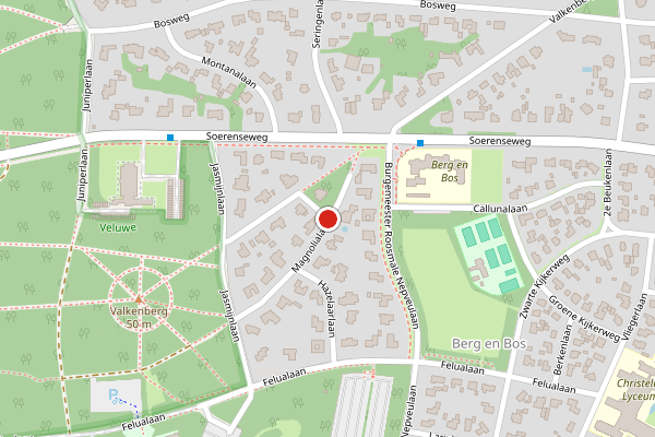 Brandweer-melding op Magnolialaan, Apeldoorn op 7 juni, kaart-overzicht