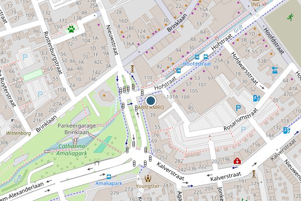 Politie-melding op Hofstraat, Apeldoorn op 9 juni, kaart-overzicht