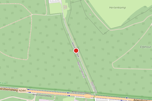 Brandweer-melding op Koninklijk Park, Apeldoorn op 11 juni, kaart-overzicht